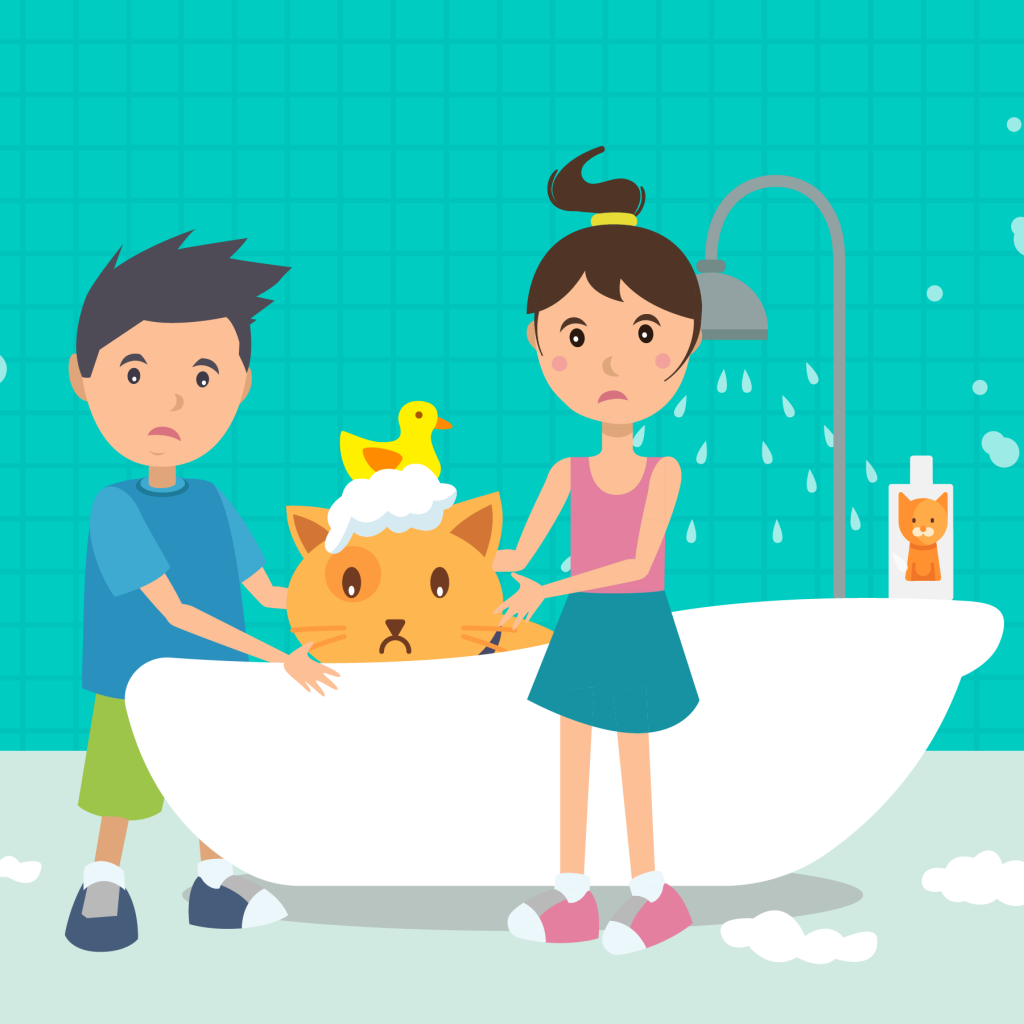 Safety Home Animation